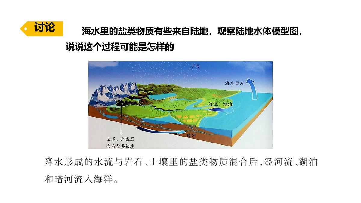 小学科学新苏教版三年级上册第三单元11.海洋教学课件（2025秋）第8页
