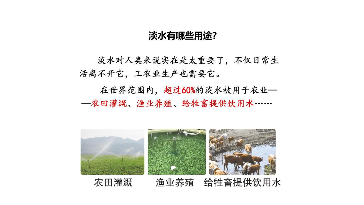 小学科学新苏教版三年级上册第三单元12.珍惜水资源教学课件（2025秋）第2页