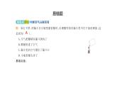 小學(xué)科學(xué)新蘇教版三年級(jí)上冊(cè)第四單元 單元復(fù)習(xí)教學(xué)課件（2025秋）