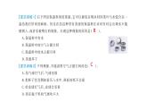 小學(xué)科學(xué)新蘇教版三年級(jí)上冊(cè)第四單元 單元復(fù)習(xí)教學(xué)課件（2025秋）