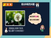 教科版小學(xué)科學(xué)三年級(jí)上冊(cè) 1.5 《觀測(cè)風(fēng)》 課件