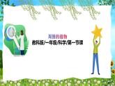 教科版（2024）一年級(jí)上冊(cè)科學(xué)《我們知道的植物》課件+教學(xué)設(shè)計(jì)