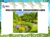 教科版（2024）一年級(jí)上冊(cè)科學(xué)《我們知道的植物》課件+教學(xué)設(shè)計(jì)
