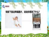 教科版（2024）一年級(jí)上冊(cè)科學(xué)《觀察植物》課件+教學(xué)設(shè)計(jì)