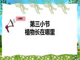 教科版（2024）一年級(jí)上冊(cè)科學(xué)《植物長(zhǎng)在哪里》課件+教學(xué)設(shè)計(jì)