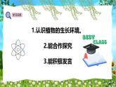 教科版（2024）一年級(jí)上冊(cè)科學(xué)《植物長(zhǎng)在哪里》課件+教學(xué)設(shè)計(jì)