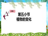 教科版（2024）一年級(jí)上冊(cè)科學(xué)《植物的變化》課件+教學(xué)設(shè)計(jì)