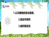 教科版（2024）一年級(jí)上冊(cè)科學(xué)《植物的變化》課件+教學(xué)設(shè)計(jì)