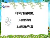 教科版（2024）一年級(jí)上冊(cè)科學(xué)《校園里的植物》課件+教學(xué)設(shè)計(jì)