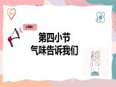 教科版（2024）一年級(jí)上冊(cè)科學(xué)《氣味告訴我們》課件+教學(xué)設(shè)計(jì)