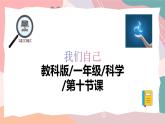 教科版（2024）一年级上册科学《气味告诉我们》课件+教学设计