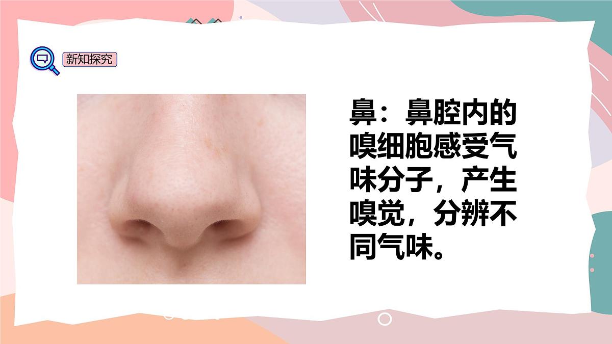 教科版（2024）一年级上册科学10《气味告诉我们》PPT课件第8页