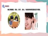 教科版（2024）一年級上冊科學(xué)《通過感官來發(fā)現(xiàn)》課件+教學(xué)設(shè)計(jì)