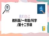 教科版（2024）一年级上册科学《观察与比较》课件+教学设计