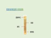 第14課 溫度的測(cè)量（課件）2025-2026學(xué)年粵教版三年級(jí)科學(xué)上冊(cè)