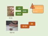 第17課 土壤的組成（課件）2025-2026學(xué)年粵教版三年級(jí)科學(xué)上冊(cè)