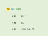 第18課 土壤與植物（課件）2025-2026學(xué)年粵教版三年級(jí)科學(xué)上冊(cè)