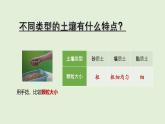 第18課 土壤與植物（課件）2025-2026學(xué)年粵教版三年級(jí)科學(xué)上冊(cè)
