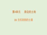 第19課 生機(jī)勃勃的土壤（課件）2025-2026學(xué)年粵教版三年級(jí)科學(xué)上冊(cè)
