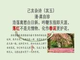 第19課 生機(jī)勃勃的土壤（課件）2025-2026學(xué)年粵教版三年級(jí)科學(xué)上冊(cè)