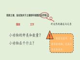 第19課 生機(jī)勃勃的土壤（課件）2025-2026學(xué)年粵教版三年級(jí)科學(xué)上冊(cè)