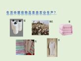 第20課 土壤資源（課件）2025-2026學(xué)年粵教版三年級(jí)科學(xué)上冊(cè)