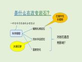 第21課 土壤與巖石（課件）2025-2026學(xué)年粵教版三年級(jí)科學(xué)上冊(cè)