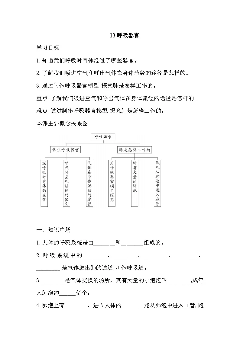 人教鄂教版科学三年级上册 13 呼吸器官 一课一练（含答案）第1页
