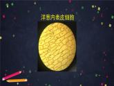 教科版科学六年级上册 1.4《观察洋葱表皮细胞》（课件+教案+任务单+练习）