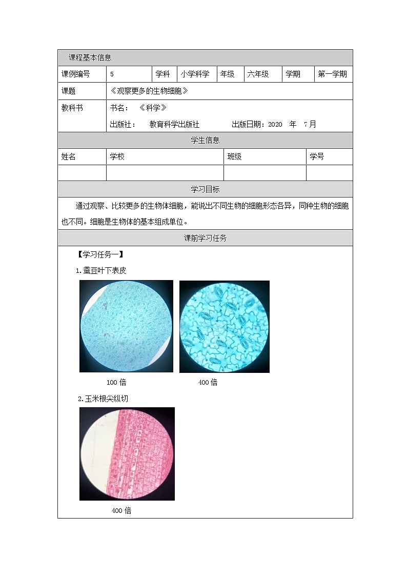 六年级【科学（教科版）5】观察更多的生物细胞-学习任务单第1页
