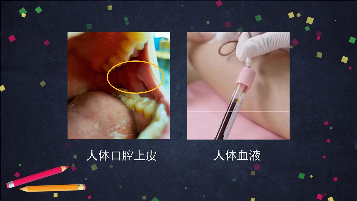 六年级【科学（教科版）5】观察更多的生物细胞-教学课件01第5页