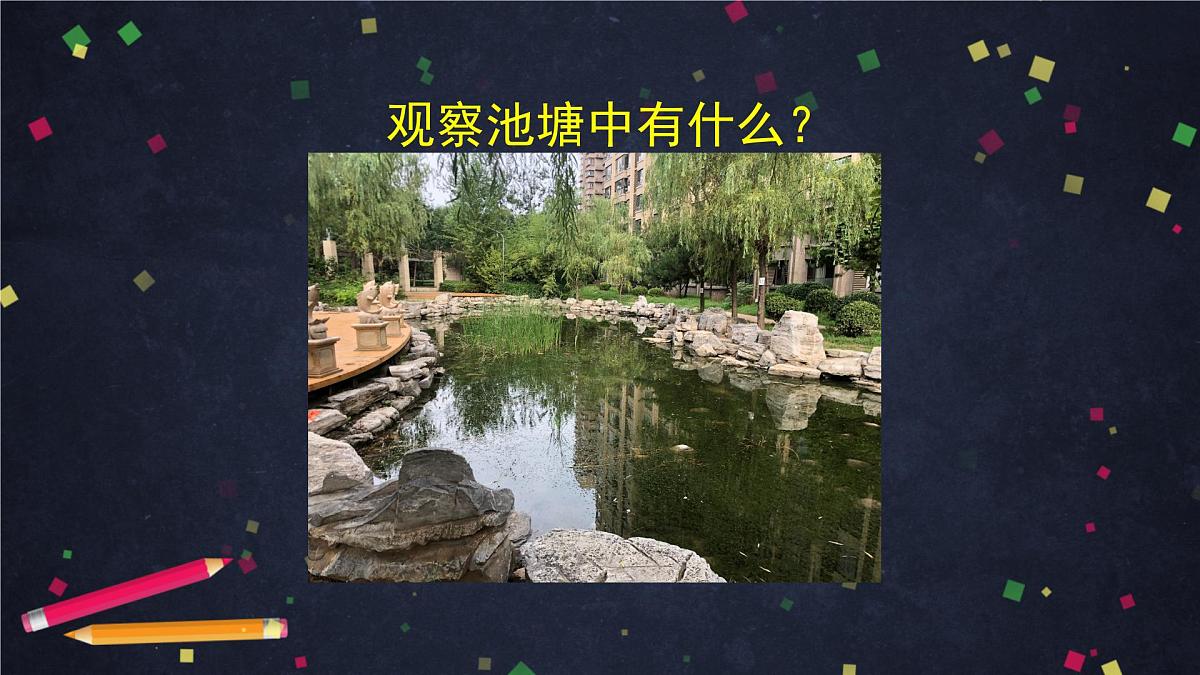 六年级【科学（教科版)】6观察水中微小的生物-教学课件01第3页