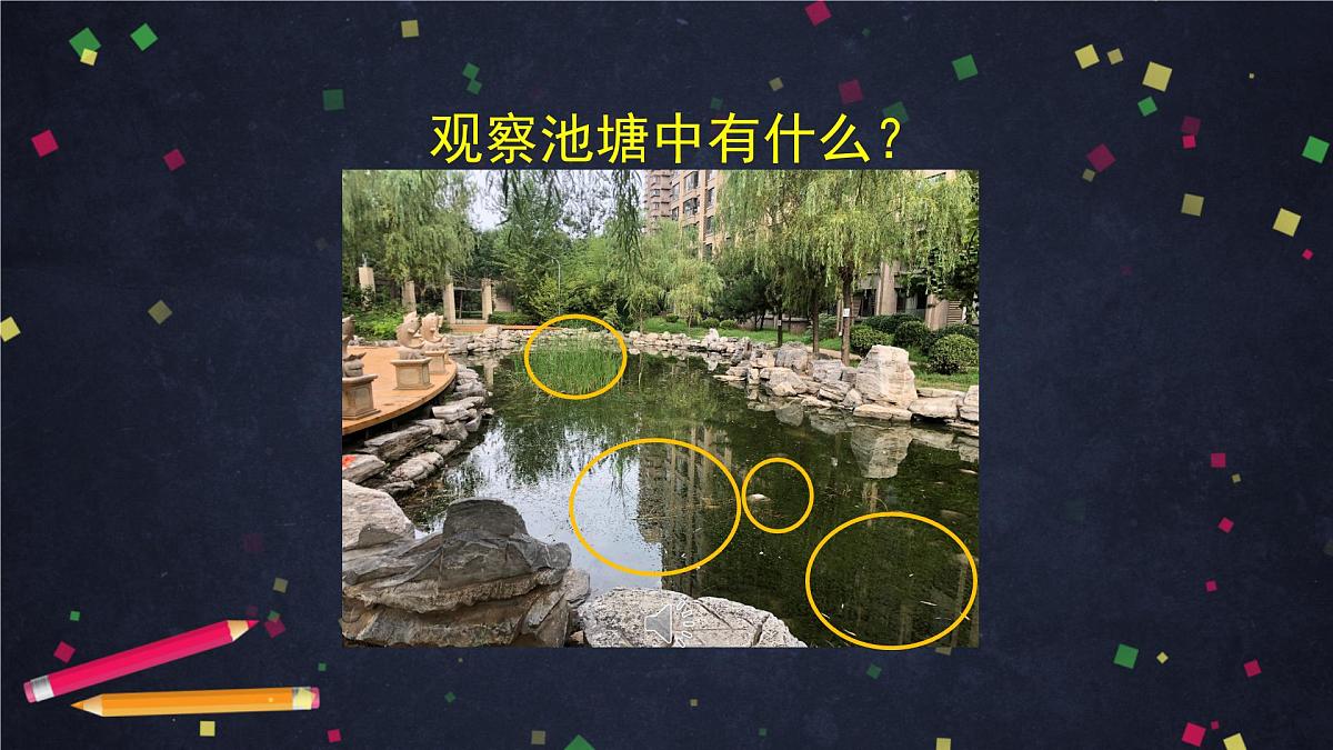 六年级【科学（教科版)】6观察水中微小的生物-教学课件01第4页