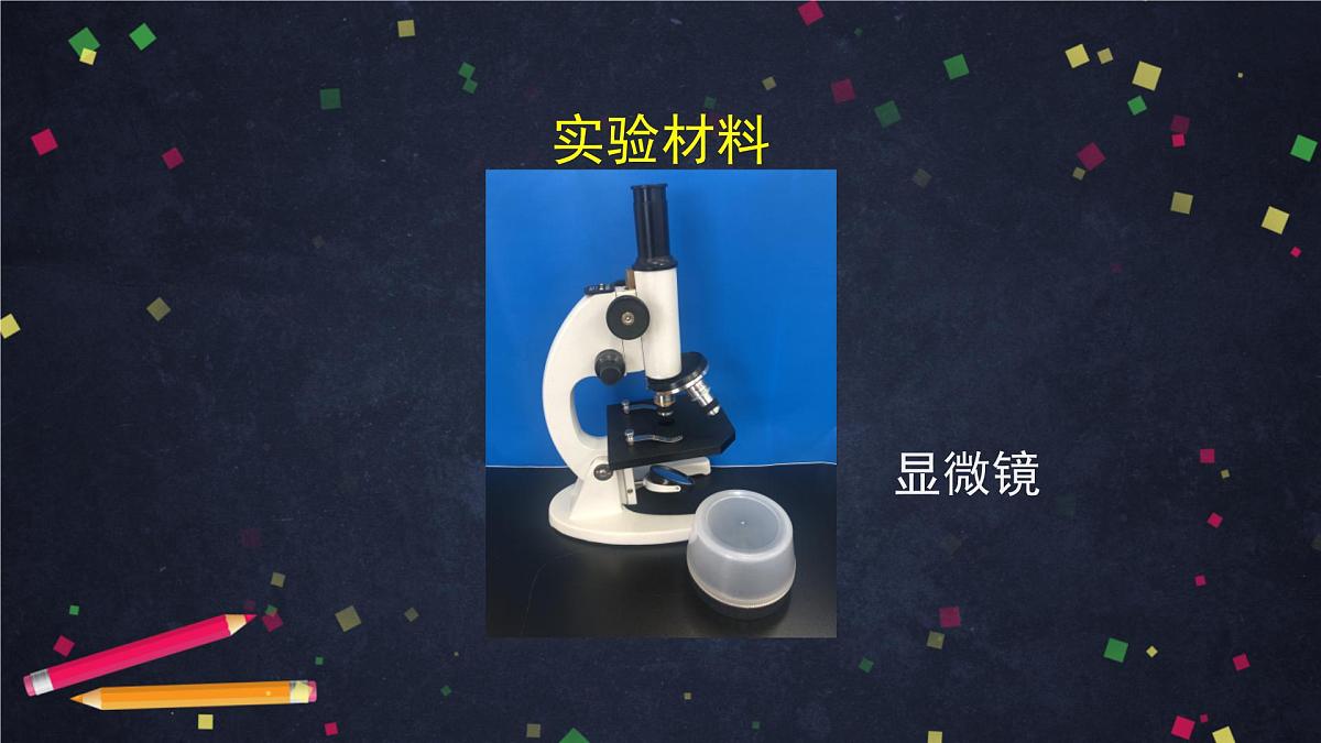 六年级【科学（教科版)】6观察水中微小的生物-教学课件01第7页