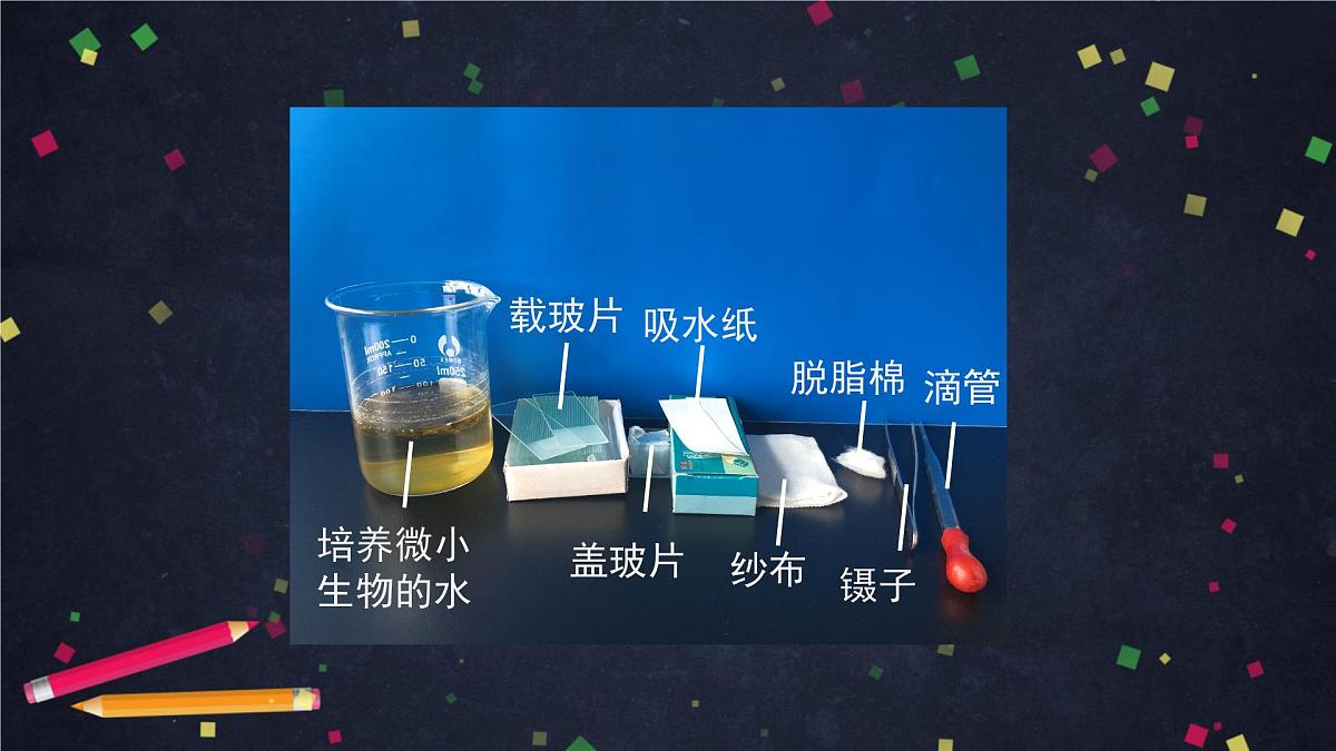 六年级【科学（教科版)】6观察水中微小的生物-教学课件01第8页