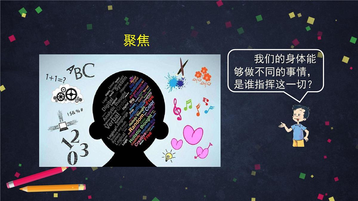 4.4 身体的“总指挥”-2课件第2页