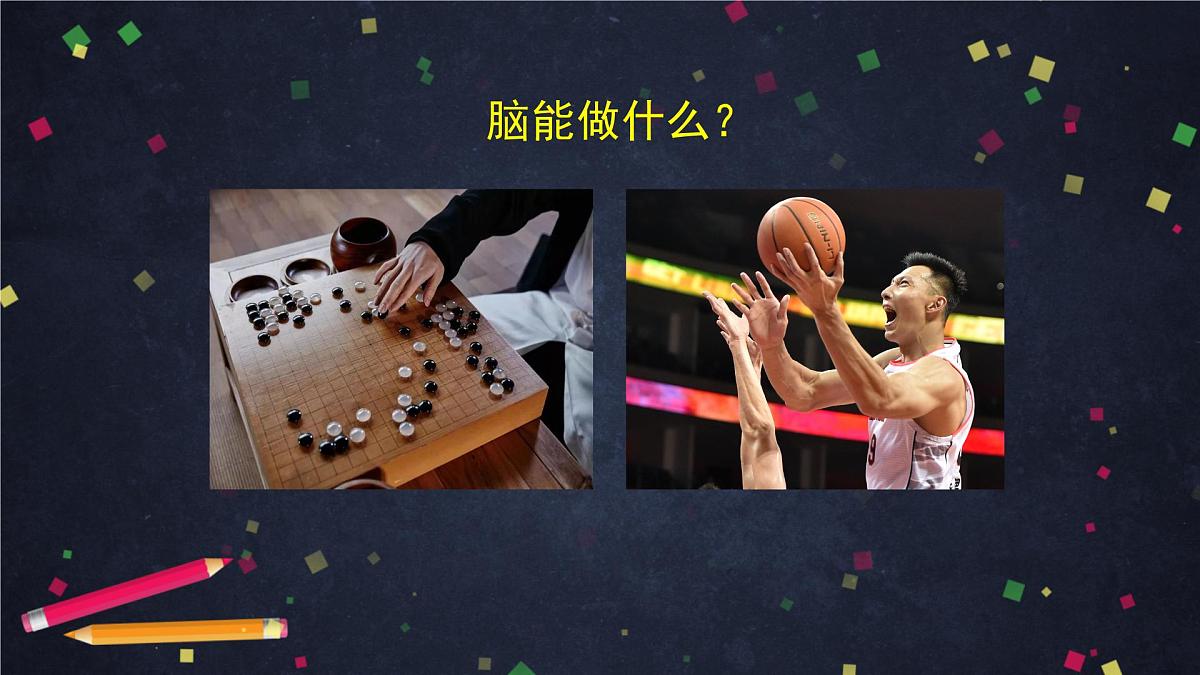 4.4 身体的“总指挥”-2课件第4页
