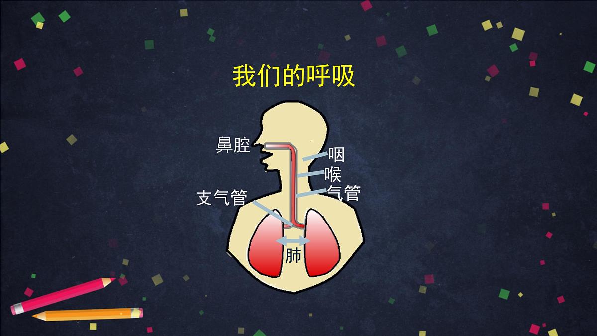 2025年(湘科版)四年级科学上册 我们的呼吸(二)-2课件第2页