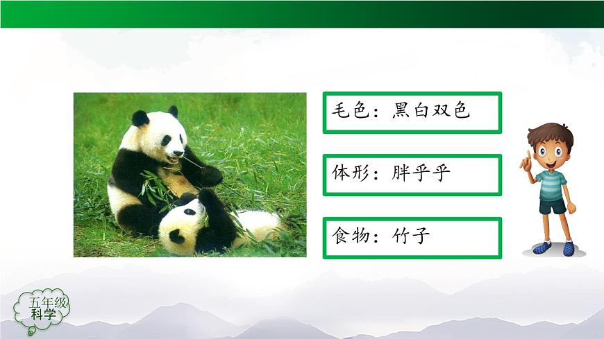 2025年秋人教鄂教版五年级科学上册 5孩子与父母(第二课时)-课件第5页