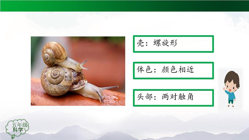 2025年秋人教鄂教版五年级科学上册 5孩子与父母(第二课时)-课件第6页