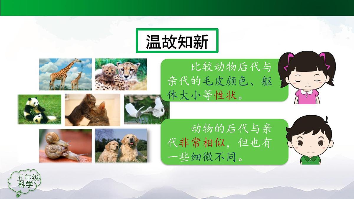 2025年秋人教鄂教版五年级科学上册 6植物的后代与亲代-课件第2页