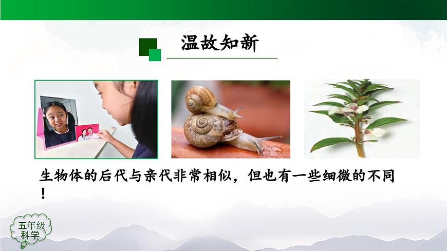 2025年秋人教鄂教版五年级科学上册 7 灭绝的远古动物(第一课时)-课件第2页