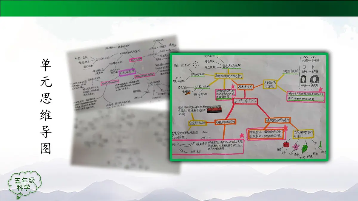 2025年秋人教鄂教版五年级科学上册 第二单元回顾-课件第5页