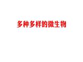 2025年秋人教鄂教版五年級科學(xué)上冊 10 多種多樣的微生物-課件