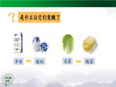 2025年秋人教鄂教版五年級科學(xué)上冊 10 多種多樣的微生物-課件