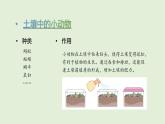 第4單元  身邊的土地 單元小結(jié)（課件）2025-2026學(xué)年粵教版三年級(jí)科學(xué)上冊(cè)