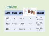 第4單元  身邊的土地 單元小結(jié)（課件）2025-2026學(xué)年粵教版三年級(jí)科學(xué)上冊(cè)