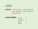 第4單元  身邊的土地 單元小結(jié)（課件）2025-2026學(xué)年粵教版三年級(jí)科學(xué)上冊(cè)