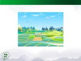 2025年秋人教鄂教版六年級科學上冊 2.4《植物的簡單分類》(課件+教案+任務單+練習)
