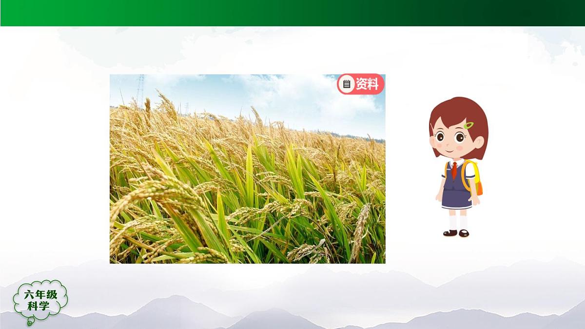 0929(人教版)六年级【科学上册】植物的光合作用(第一课时)-2课件第4页